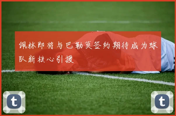 佩林即将与巴勒莫签约期待成为球队新核心引援